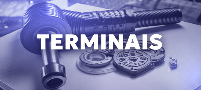 Terminais